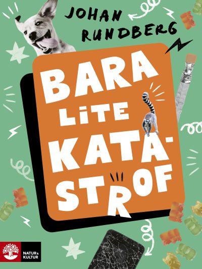 Boktips: Bara lite katastrof
