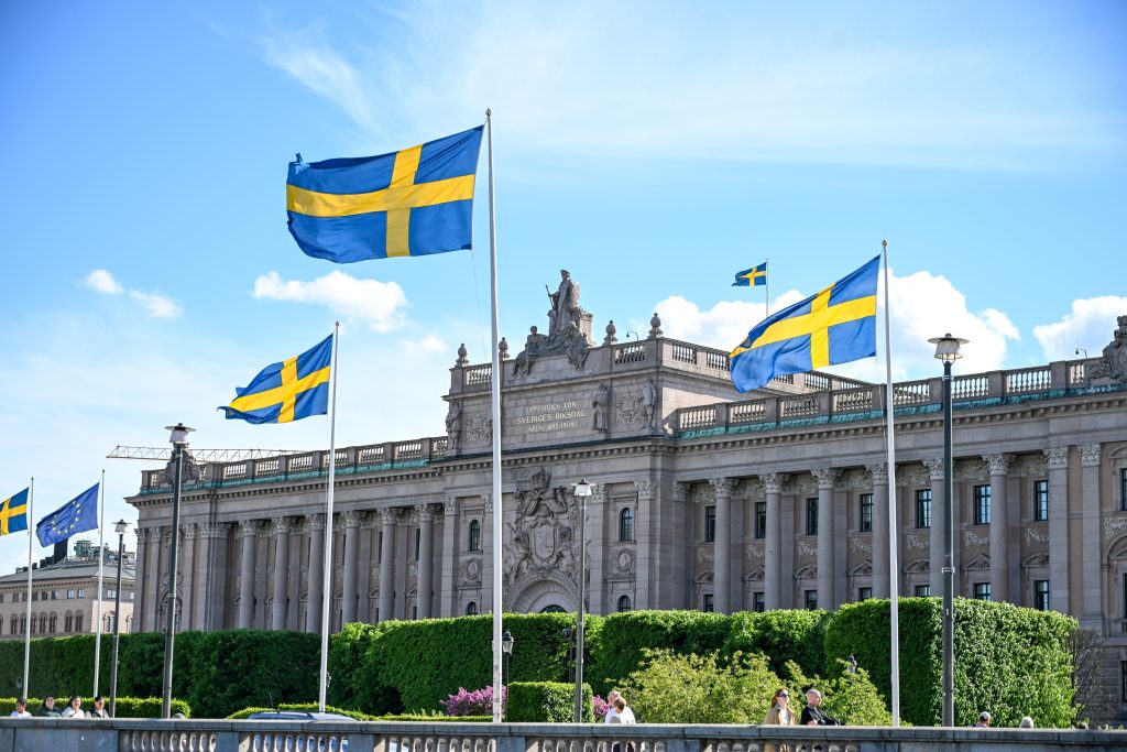 Få unga tog plats i riksdagen
